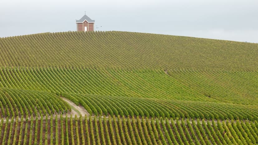 Itinéraire au coeur d'Epernay !