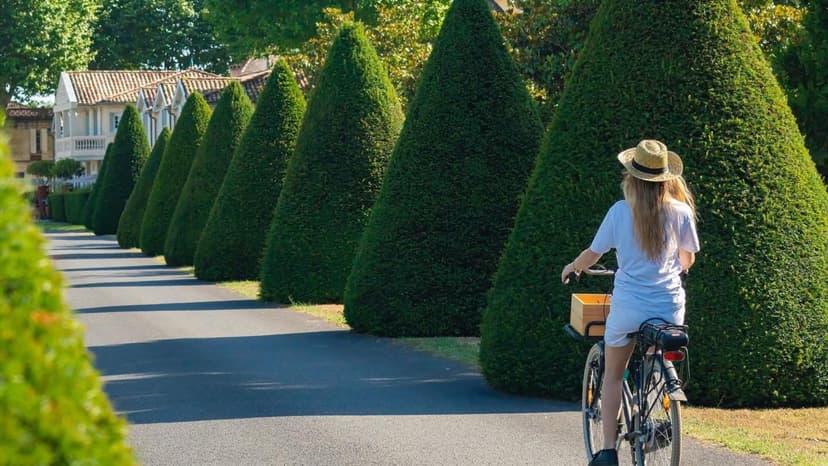 Excursion oenologique entre les Châteaux Mazeyres et Fonroque