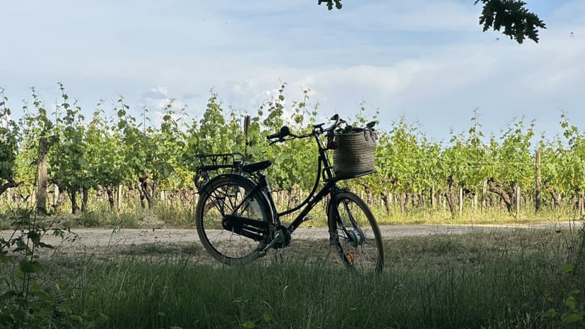 Le voyage commence à vélo - 7km