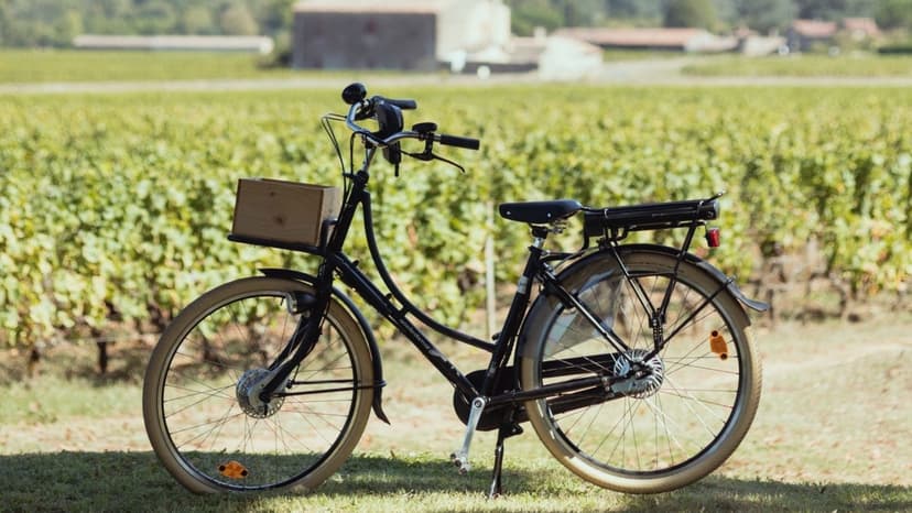 Escapade à vélo électrique de Barsac à Sauternes - Pause déjeuner