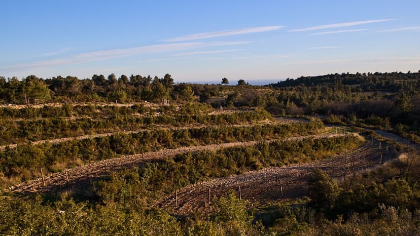 Visite panoramique sur les sommets de Bandol
