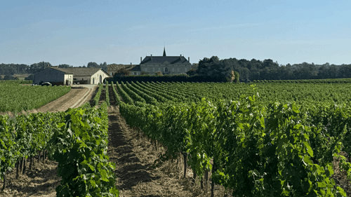 Between vineyards and bell towers:  the connoisseur’s route