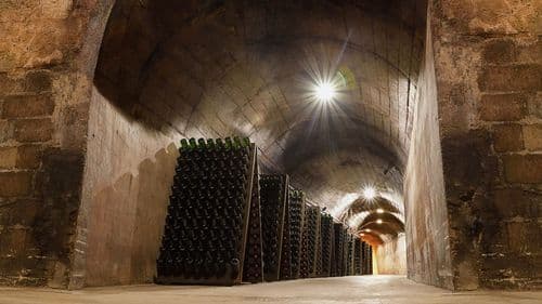 Domaine Bauchet