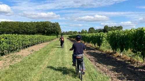 Bike ride in Petite Champagne
