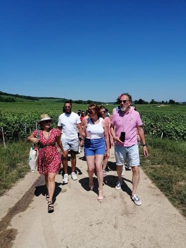 Country Walk