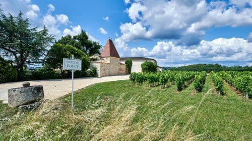 Between vineyards and bell towers:  departure from Saint-Émilion
