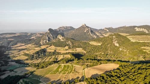 A walk through history and terroir in the Dentelles de Montmirail