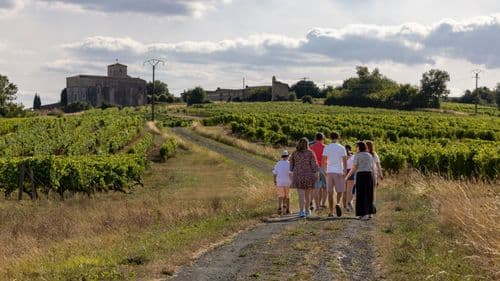 From our vines to your palate, on foot