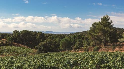 Sur les pas de la tortue, entre collines et mer