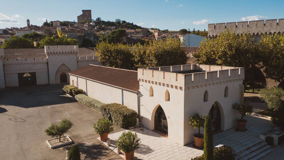 Balade vigneronne au cœur des terroirs de Châteauneuf-du-Pape - 1