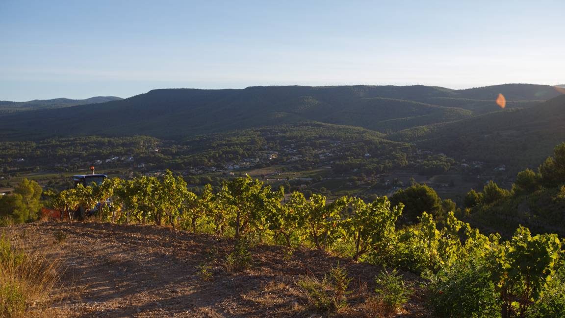 Parcours pédestre - 1