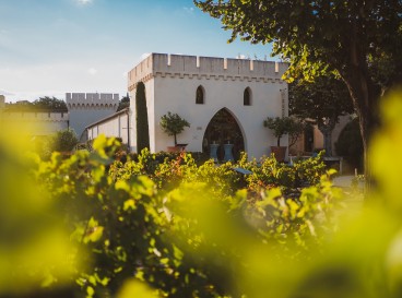 Balade vigneronne au cœur des terroirs de Châteauneuf-du-Pape