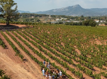 Aventure Vigneronne