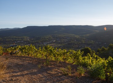 Parcours pédestre