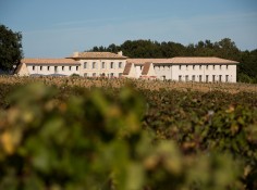 Château Fage - La Maison des Vignes