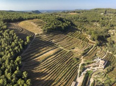 Domaine La Font des Pères